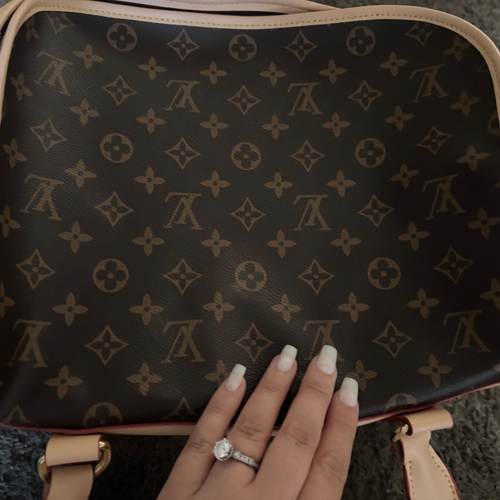 Louis Vuitton dog carrier - Picture 5 of 8